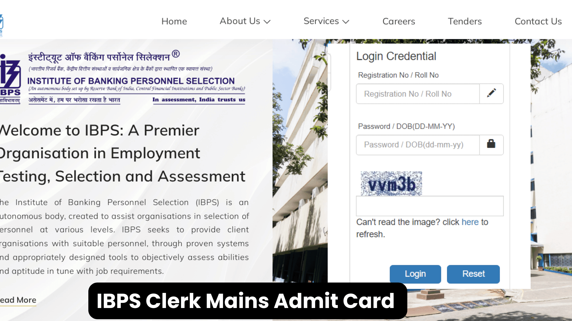 IBPS Clerk Mains Admit Card